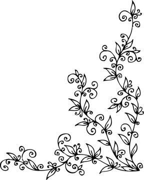 花的小插曲