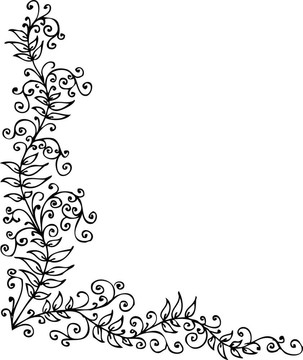 花的小插曲
