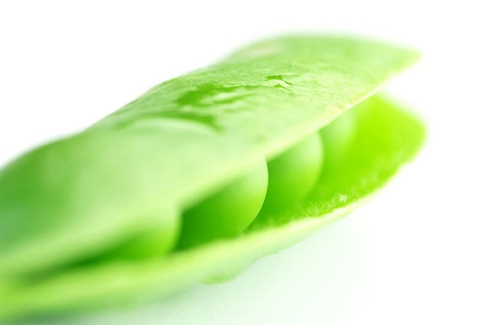 豌豆莢