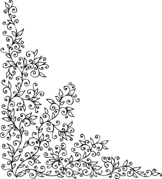 花的小插曲