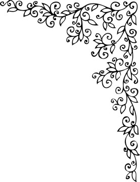 花的小插曲