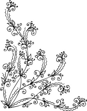 精致的小插曲不足