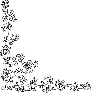 花的小插曲