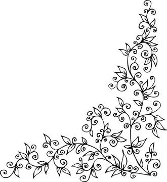 花的小插曲