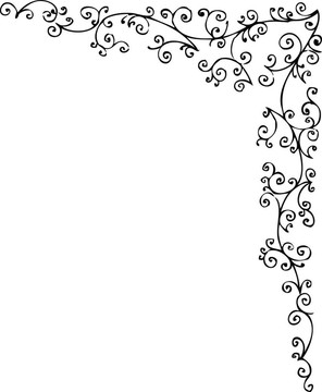 花的小插曲