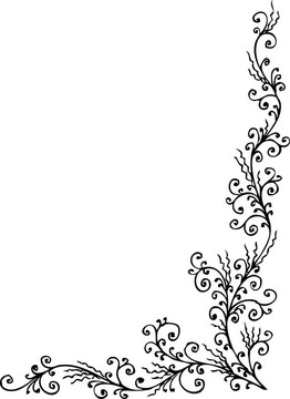 花的小插曲