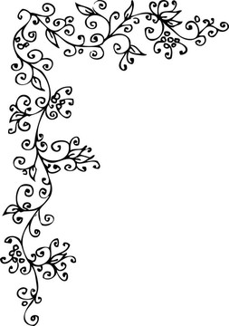花的小插曲