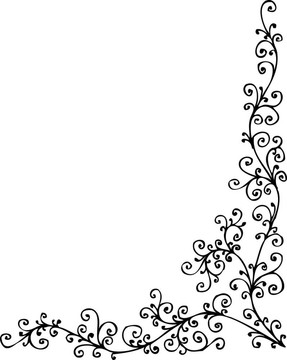 花的小插曲