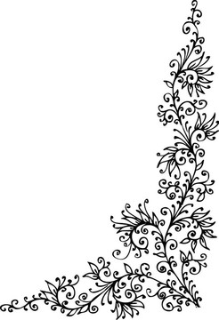 花的小插曲