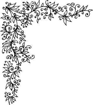 花的小插曲