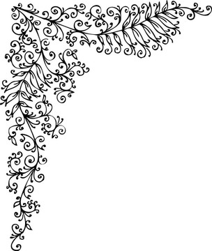 花的小插曲