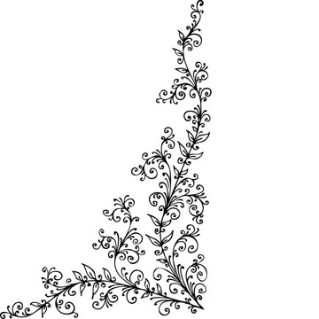 花的小插曲