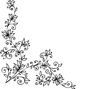 花的小插曲