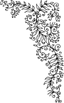 花的小插曲