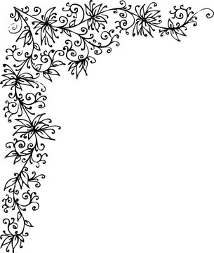 花的小插曲