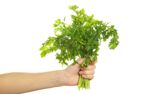 西芹