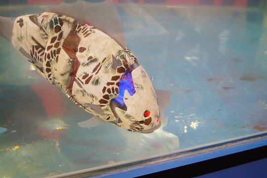 機(jī)器魚