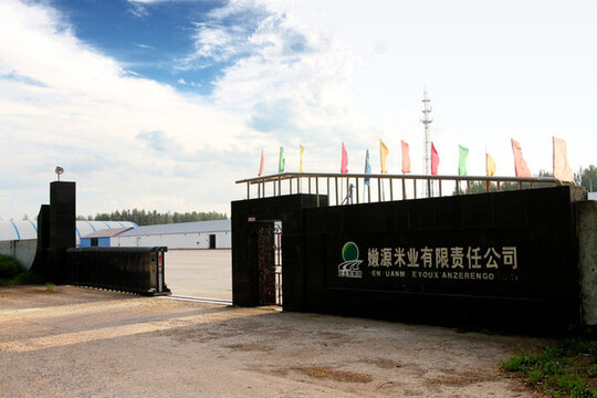 米業(yè) 加工廠 工業(yè)