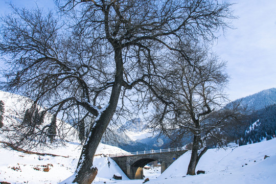 天山山脈積雪
