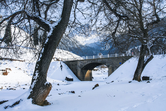 天山山脈積雪