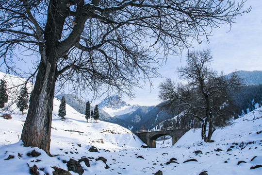 天山山脈積雪