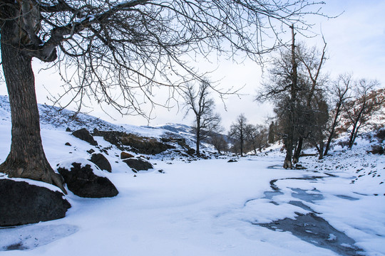 天山山脈積雪