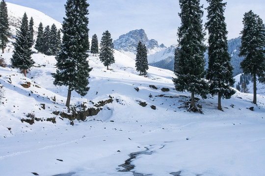 天山山脈積雪