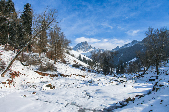 天山山脈積雪