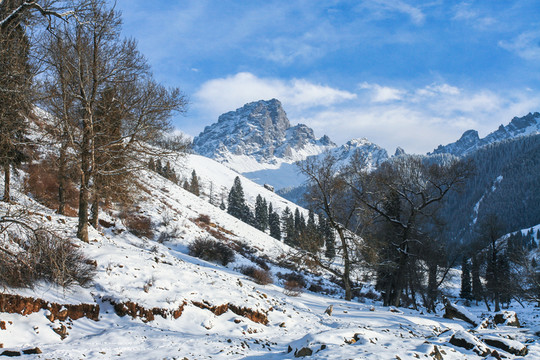 天山山脈積雪