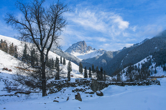 天山山脈積雪