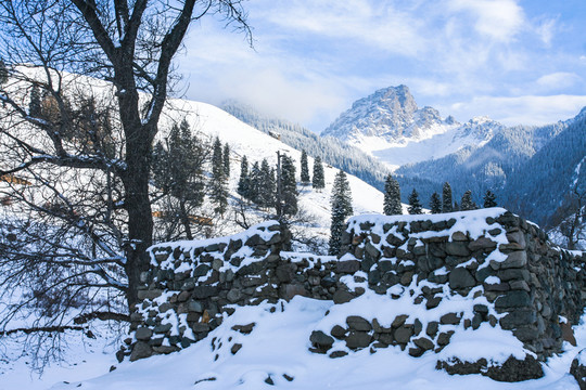 天山山脈積雪