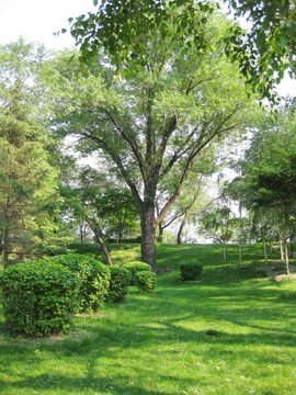 公園綠地