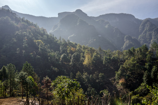 高山