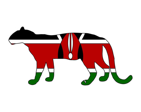 肯尼亞豹
