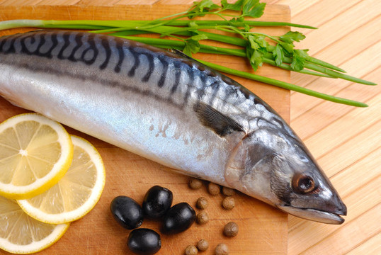 鯖魚