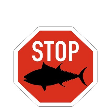 站牌金槍魚