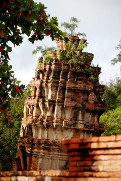 在Wat chaiwattanaram寺塔；Ayutthaya；泰國