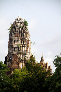 在Wat chaiwattanaram寺塔；Ayutthaya；泰國
