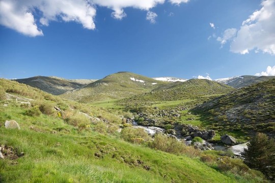在格雷多斯山小激流