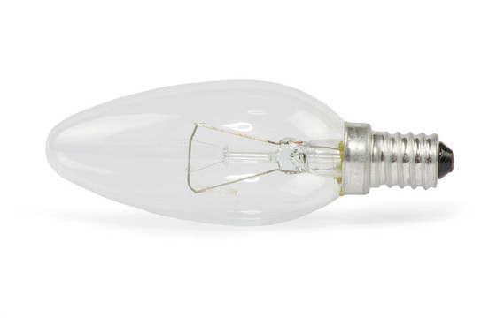 電燈泡