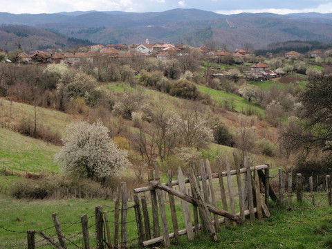 對(duì)stoilovo村