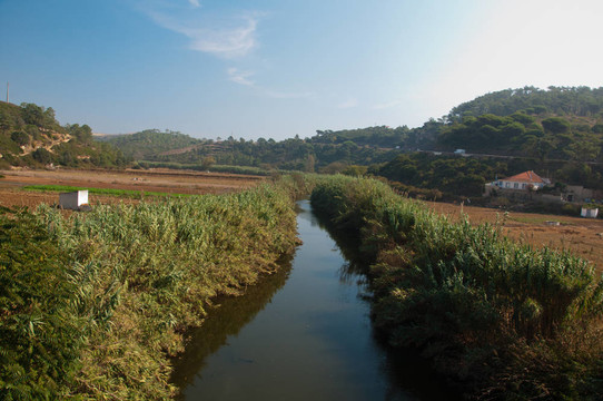 山中村