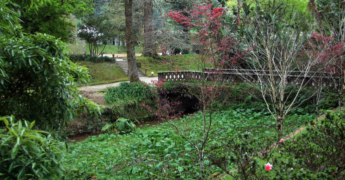 田園公園的景色