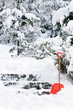 鏟雪