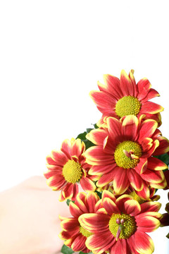 花