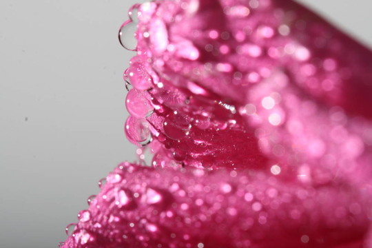 露水