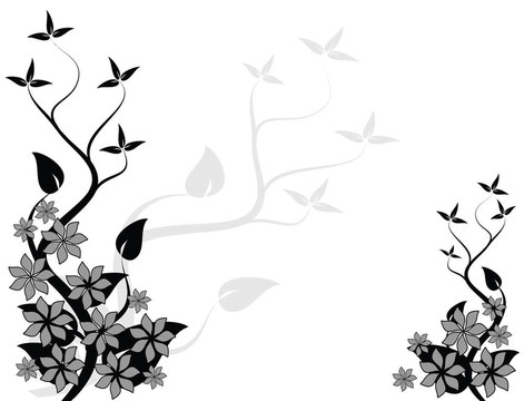 抽象的黑白花藝設(shè)計(jì)