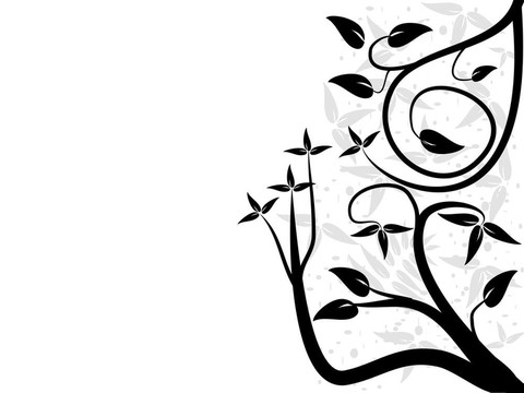 抽象的黑白花藝設(shè)計