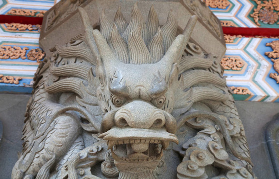 龍