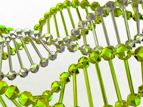 基因在DNA